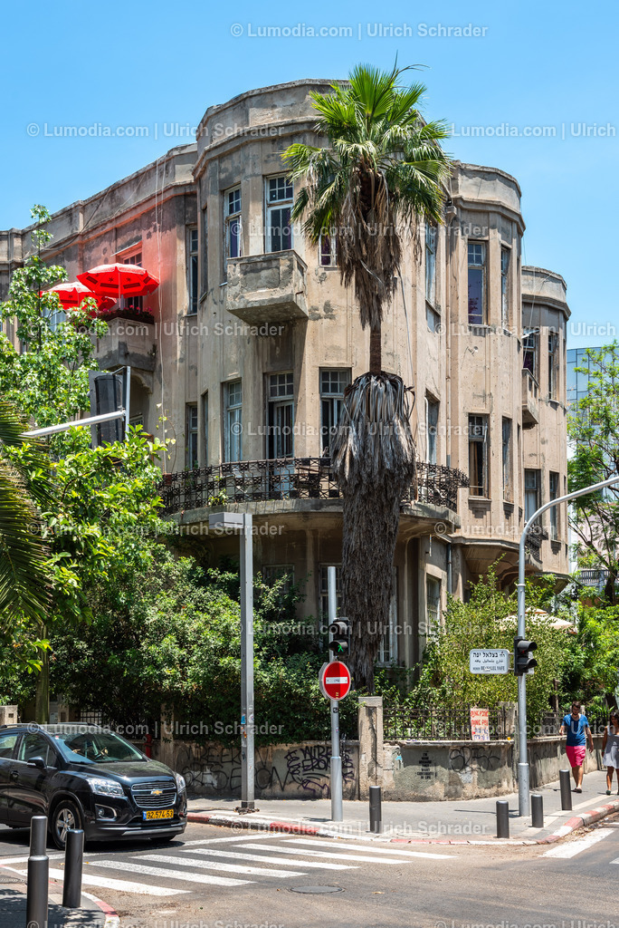 10972-10164 - Tel Aviv - Rothschild Boulevard | Stockfoto und Bilderpool mit Bildmaterial aus Deutschland, dem Harz, Halberstadt, Quedlinburg, Wernigerode und weltweit. Qualitativ hochwertige und professionelle Fotos anschauen und kaufen. - Realisiert mit Pictrs.com