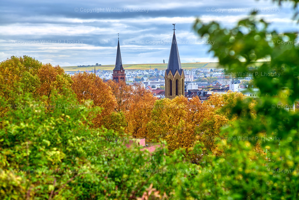 L1006515 | wlstudio - Realisiert mit Pictrs.com