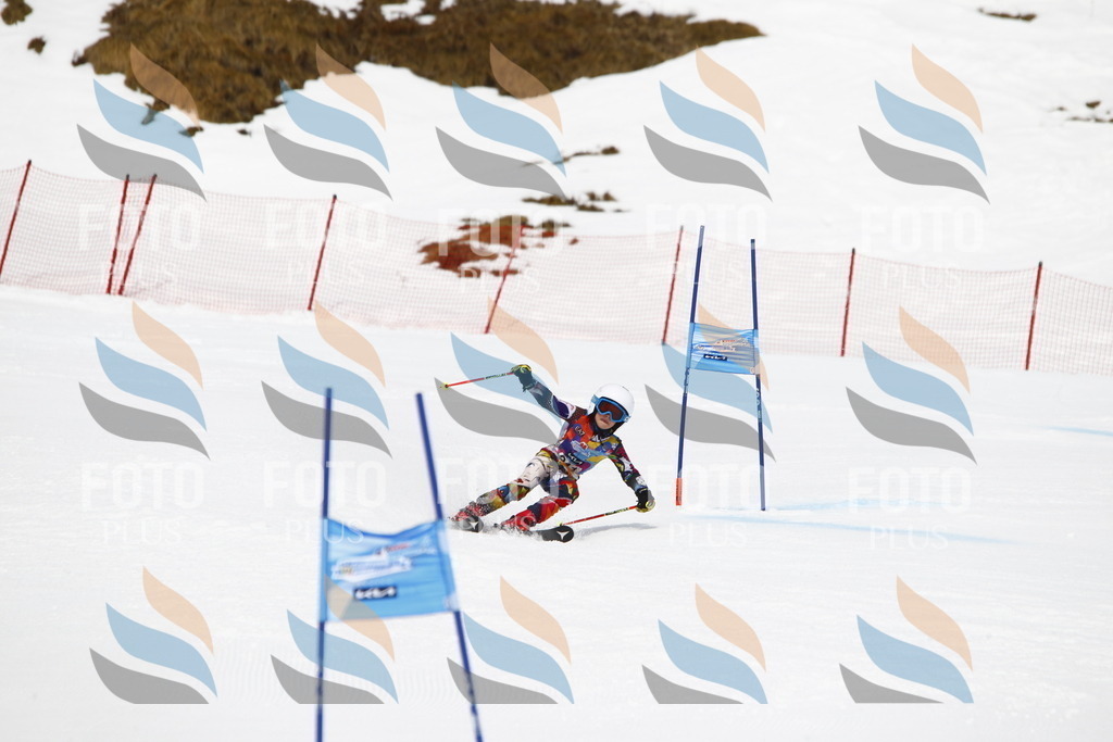 _U3G7721 | holidayphoto