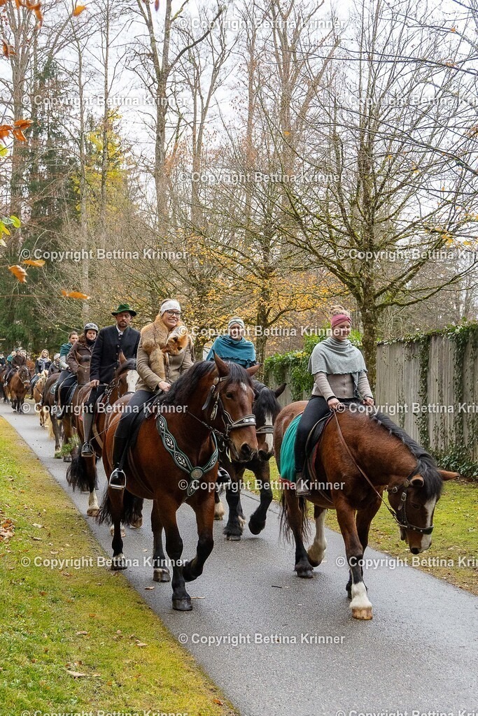 LL25-252 | foto-bettina-krinner - Realisiert mit Pictrs.com
