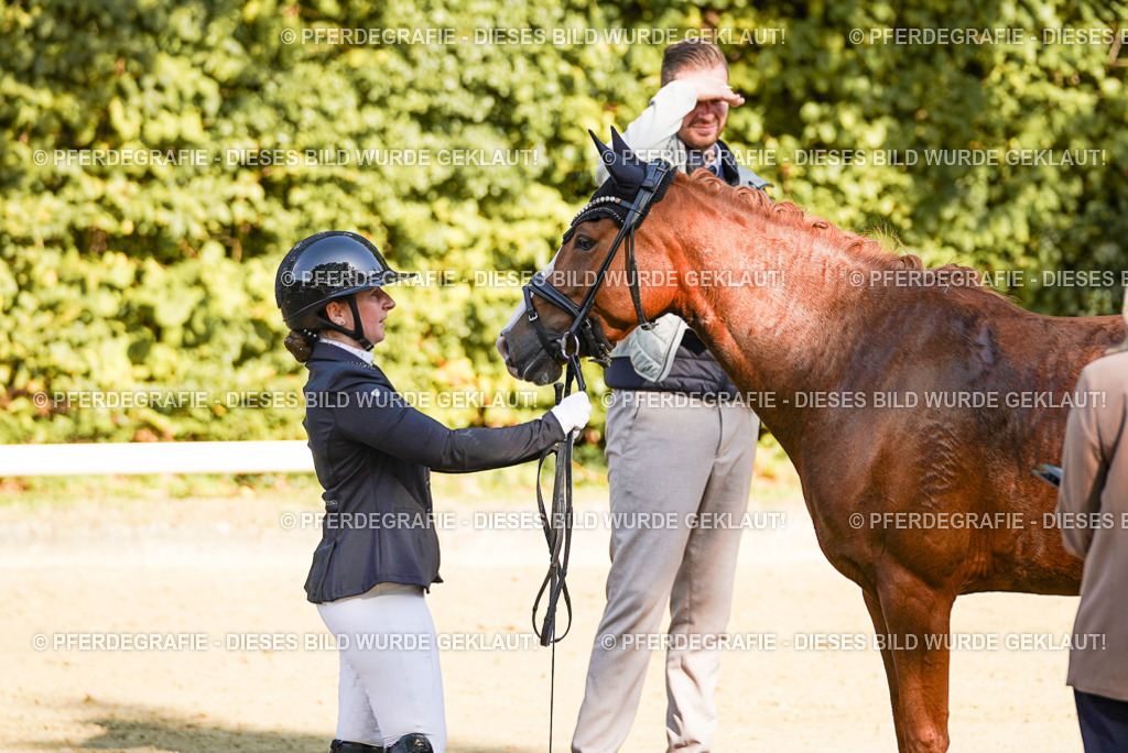 DSC06587 | Pferdegrafie