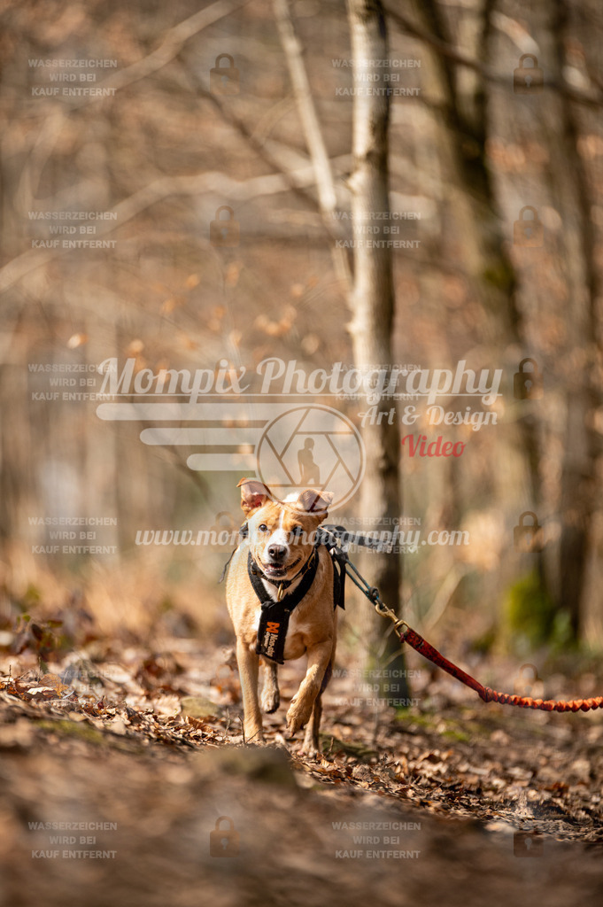 SPA_2023_DIM_CCK-189 | PayLife