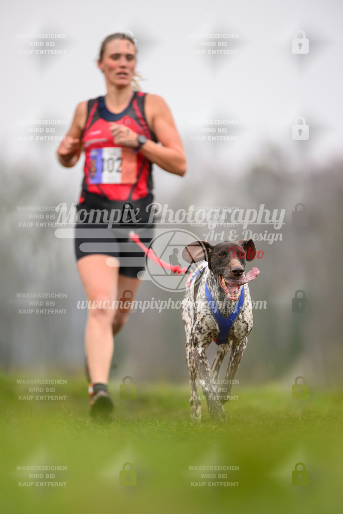 MompixPhotography_CDF2023_FFST_Di_Canicross-71 | PayLife