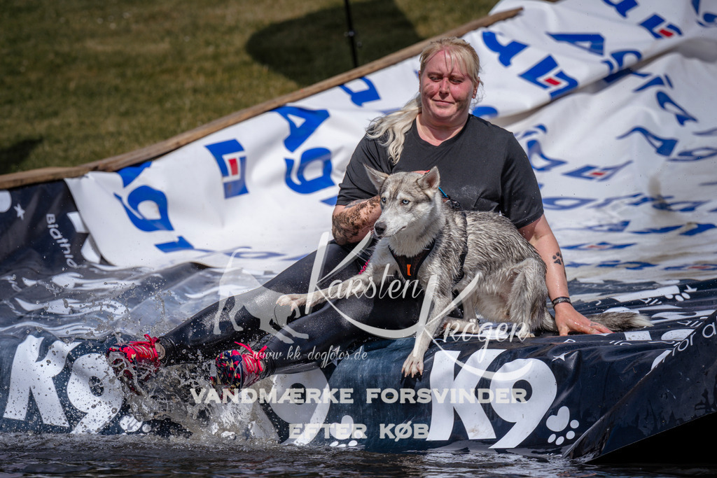 _ZZ935200940 | kk-dogfotos