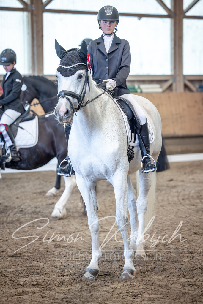 20251011-_3LI7812 | Tierfotografie Pferde, Hunde, Katzen, Haustiere.
Turnierfotografie Reitturniere, Reiten, Springreiten, Dressur in Hanau, dem Main-Kinzig-Kreis und dem Rhein-Main- Gebiet um Frankfurt