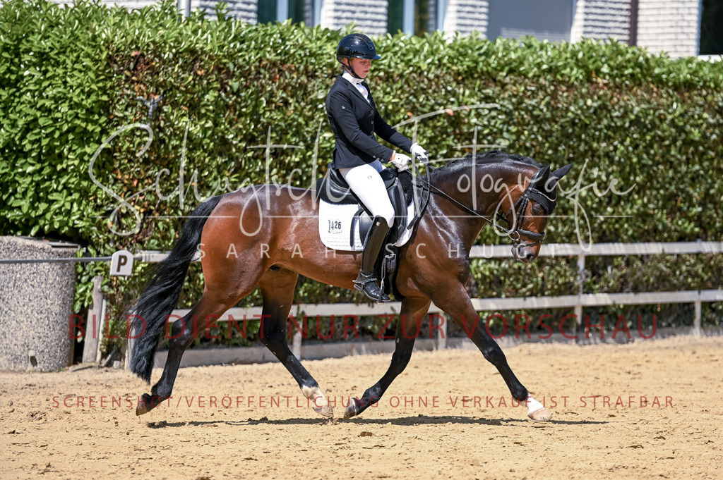 Schugtsche-Aluta25-49.Dressurpferdeprf.A-346 | Schugtsche Fotografie - Realisiert mit Pictrs.com