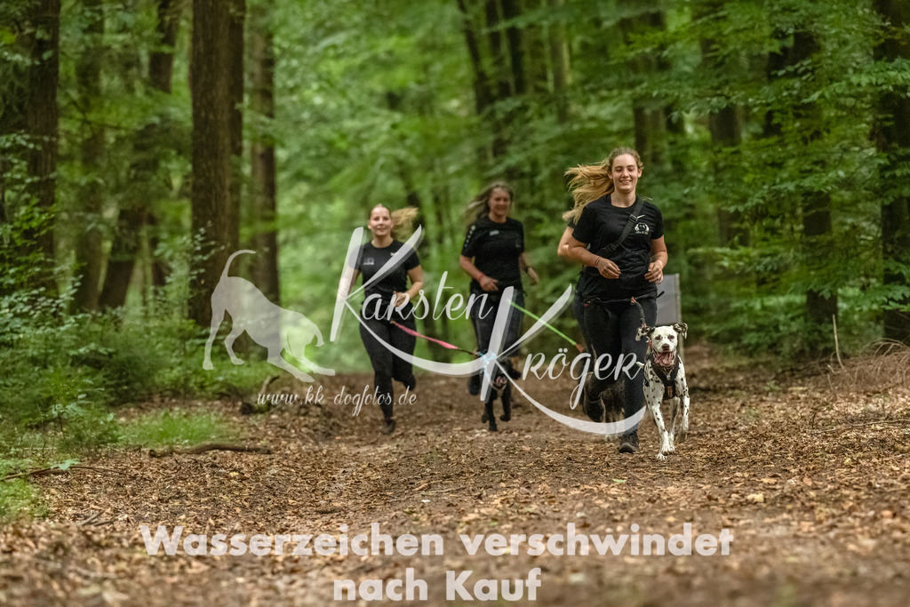 1255_ZZ91738-Bearbeitet-2 | kk-dogfotos