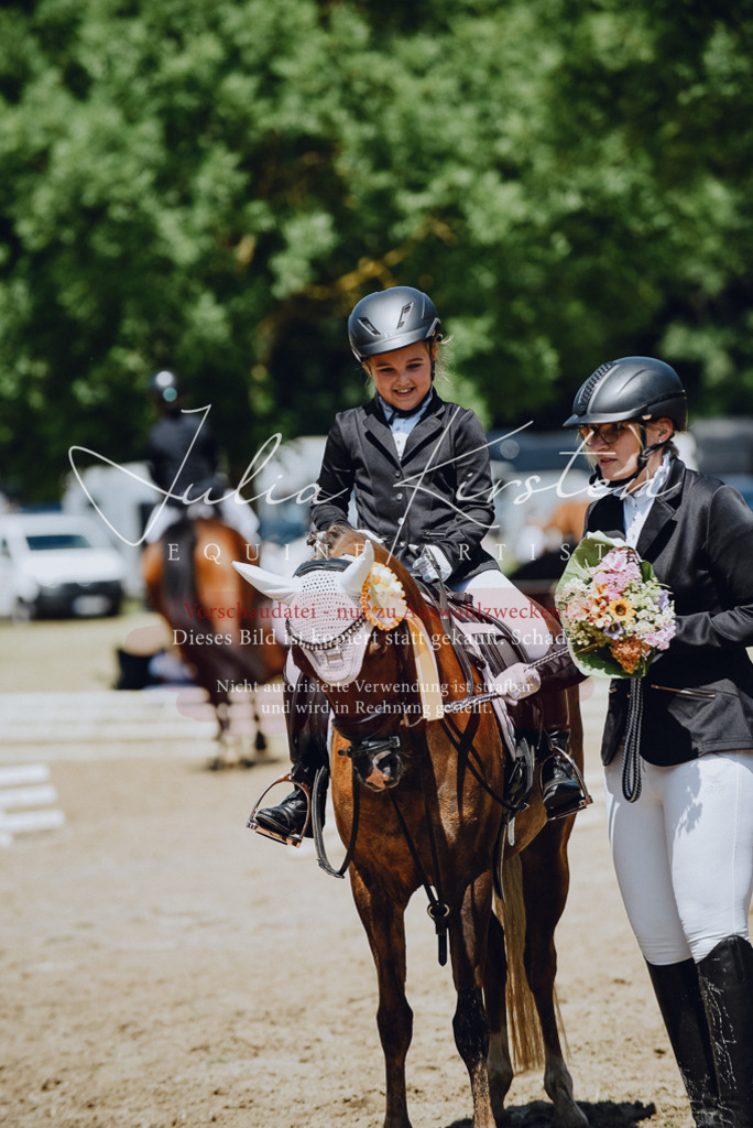 DSC_2687 | Pferde- und Turnierfotografie in Westsachsen. Pferdeportraits, Auftragszeichnungen und intuitive Kunst.