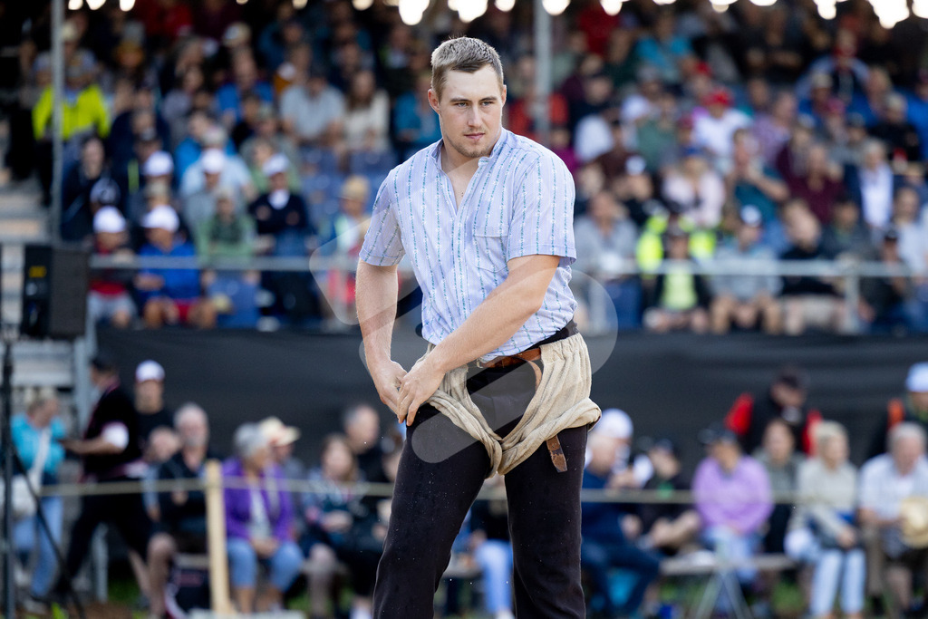 TESSINER2025_01_Gang_9314 | Die Schwinger des Schwyzer Kantonalen Schwingerverbandes: Fotos, die Dynamik und Leidenschaft festhalten, sowie emotionale Momente aus dem traditionellen Schwingsport zeigen. - Realisiert mit Pictrs.com