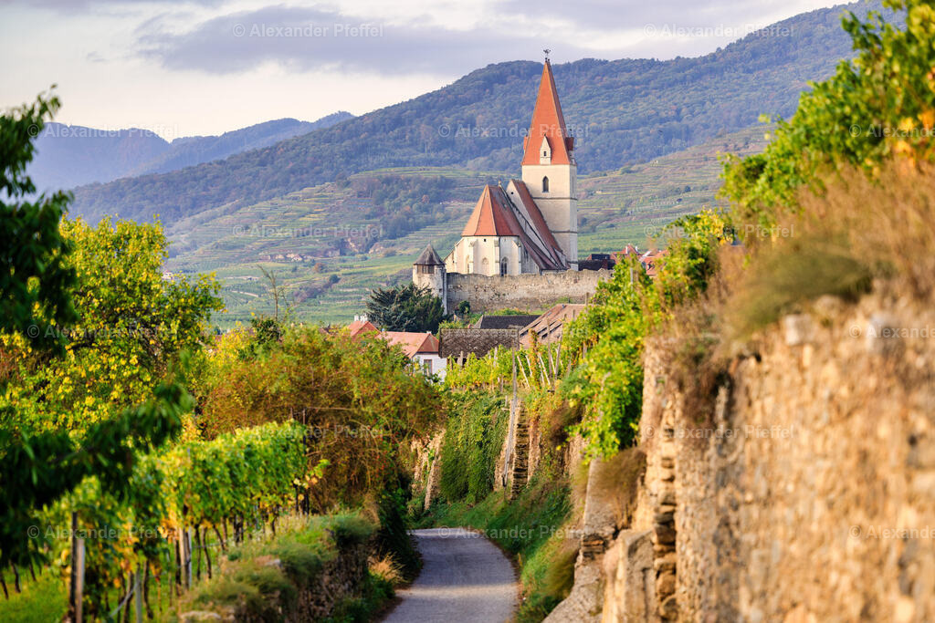 foto_c_pfeffel-partner-0057-R52_0034-Bearbeitet | alexander-pfeffel - Realisiert mit Pictrs.com