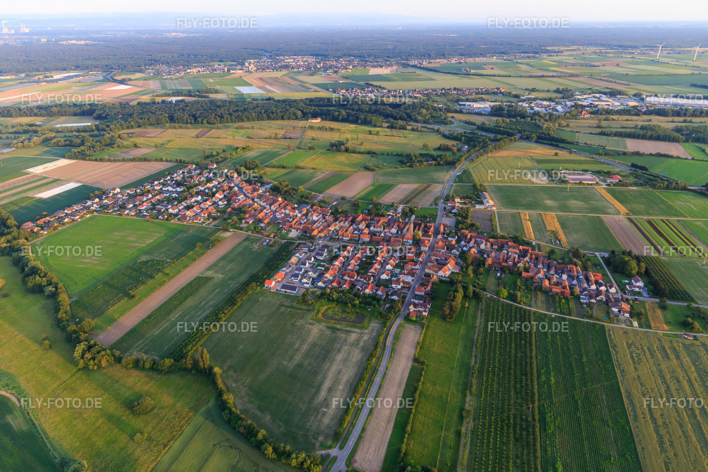 Ortsansicht von Norden | Luftbild: Ortsansicht von Norden in Erlenbach bei Kandel im Bundesland Rheinland-Pfalz in Deutschland. Foto: IMG_107781.jpg vom 03.06.2018 durch Werner Riehm/FLY-FOTO.de - Realisiert mit Pictrs.com