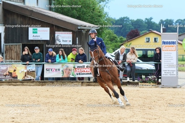 OHT1761 | Fotografie, Tiere, Hunde, Katzen, Pferde, Sportfotografie, Fotosession, Tierfotografie, Turnierfotografie, Fotografin, Fotograf - Realisiert mit Pictrs.com