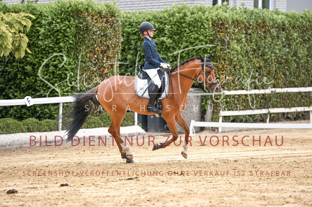 Schugtsche-Aluta25-42.EDressur -343 | Schugtsche Fotografie - Realizzato con Pictrs.com