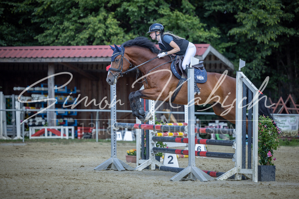 20260704-_3LI0269 | Tierfotografie Pferde, Hunde, Katzen, Haustiere.
Turnierfotografie Reitturniere, Reiten, Springreiten, Dressur in Hanau, dem Main-Kinzig-Kreis und dem Rhein-Main- Gebiet um Frankfurt