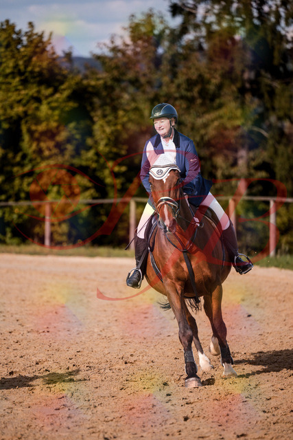 2026_10_03_Siefer-Hof_160659_Z81_89152981 | Professionelle Reitsport-, Turnier- und Eventfotografie von Robert Broda. Galerien mit ausgewählten und bearbeiteten Bildern direkt online ansehen und bestellen.