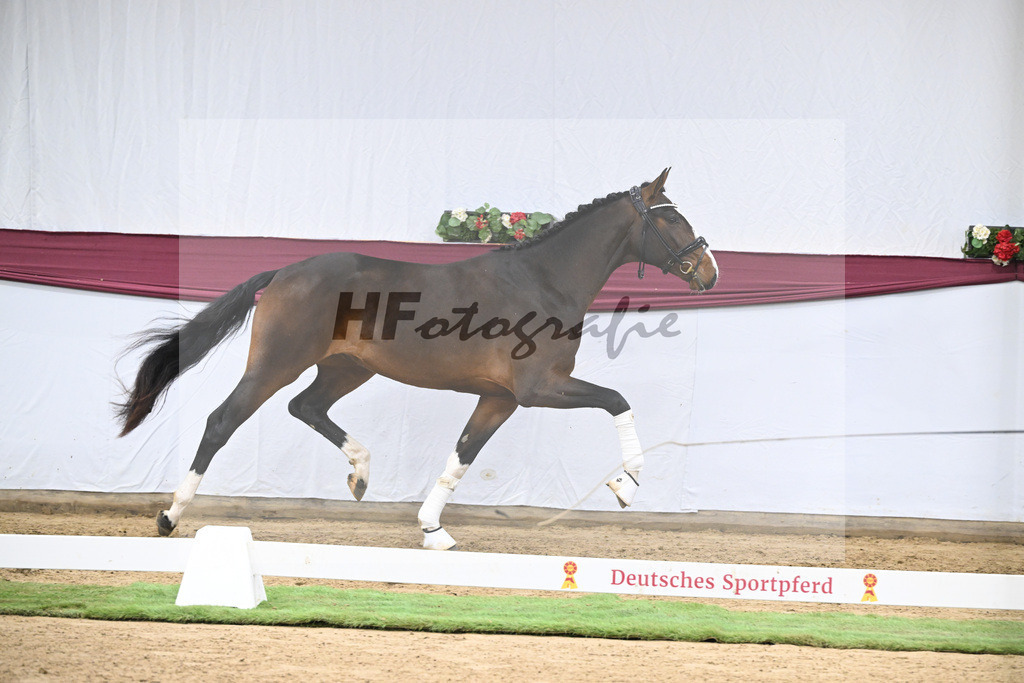 Kat-Nr. 124 Global Player x Floriscount_Christian Wittlinger_47254142 | hf-fotografie - Realisiert mit Pictrs.com