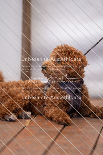 LR261_SD_05902 | saradresslerfotografie - Realisiert mit Pictrs.com
