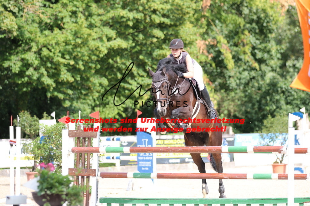 IMG_0711 | lmwpictures - Realisiert mit Pictrs.com