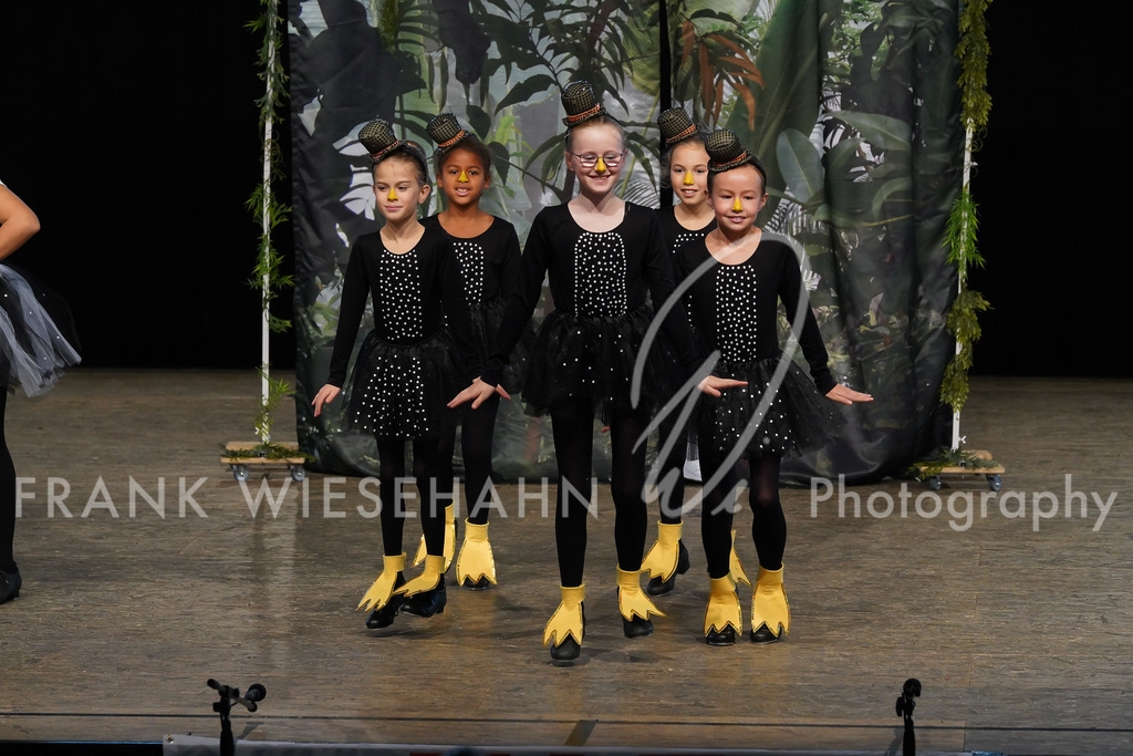 steppdm22_3901 | FRANK WIESEHAHN MEDIA - Realisiert mit Pictrs.com