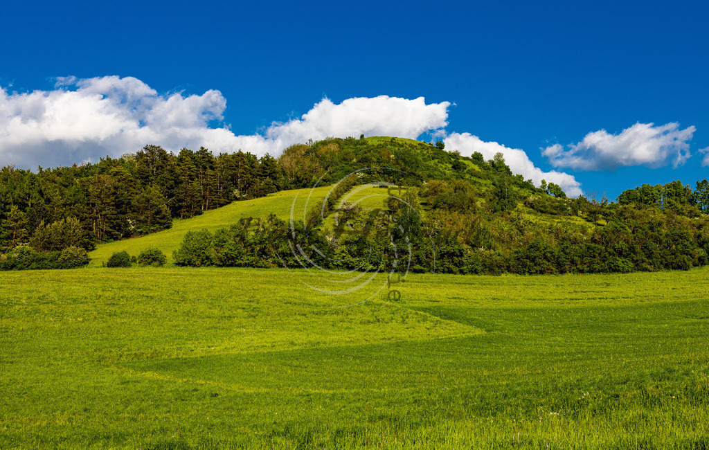 2023_05_14_7683 | Frank Herberich Fotografie, Frank Herberich, Fotografie, Hochzeit, Portrait, St. Peter Ording, Ording, Westerhever, Nordsee, Frank Fotografie, Hardheim,  Odenwald,Walldürn, Band,Eventfotografie - Realisiert mit Pictrs.com