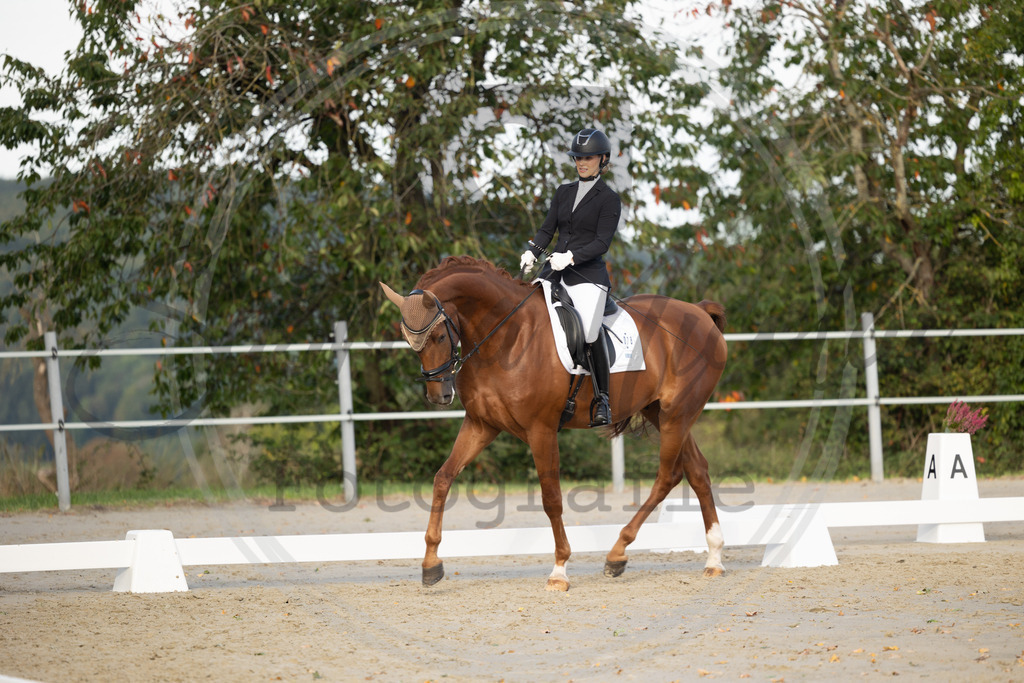 994A0329 | sabrinanicolaifotografie - Realisiert mit Pictrs.com