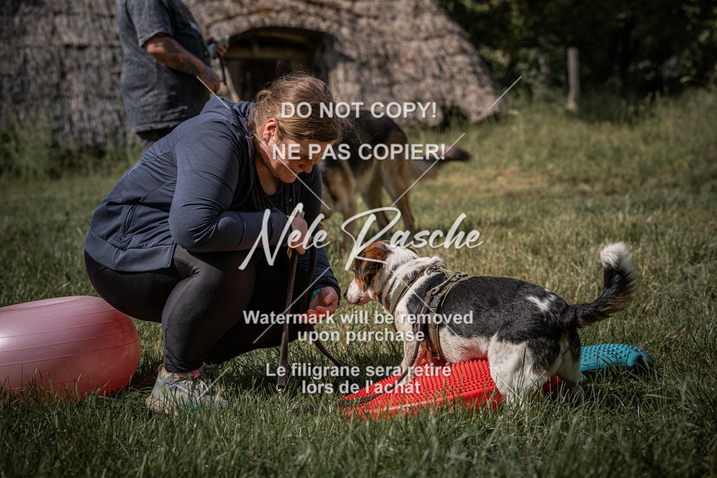 nelerasche_Do-spät_103 | nelerasche