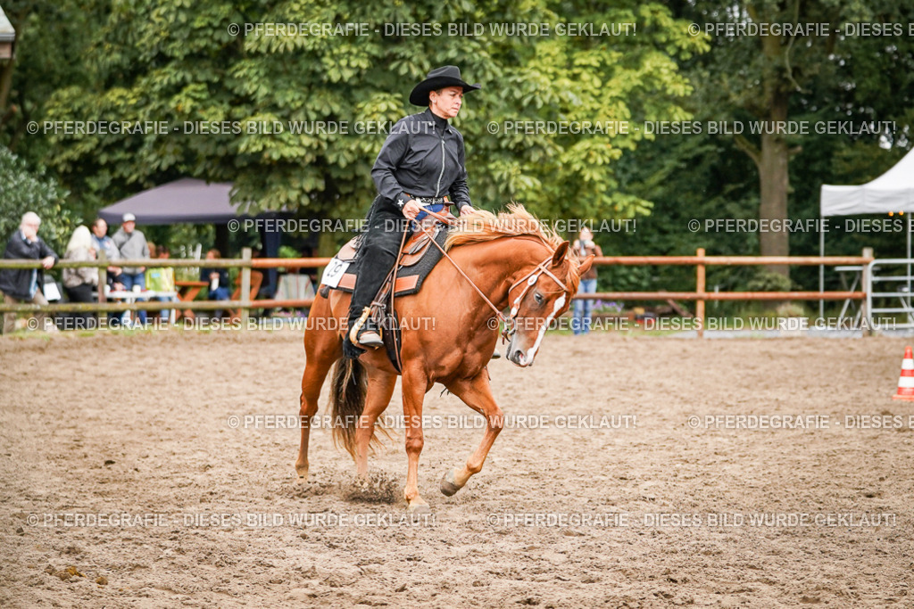 DSC03563 | Pferdegrafie