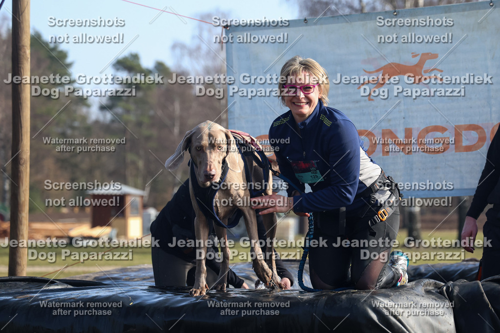 Dog Paparazzi - Strongdog North Mrz26-1370 | Dog Paparazzi Jeanette Grottendiek Fotografie & Videografie - Realisiert mit Pictrs.com