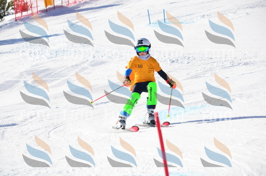 C6433 | holidayphoto