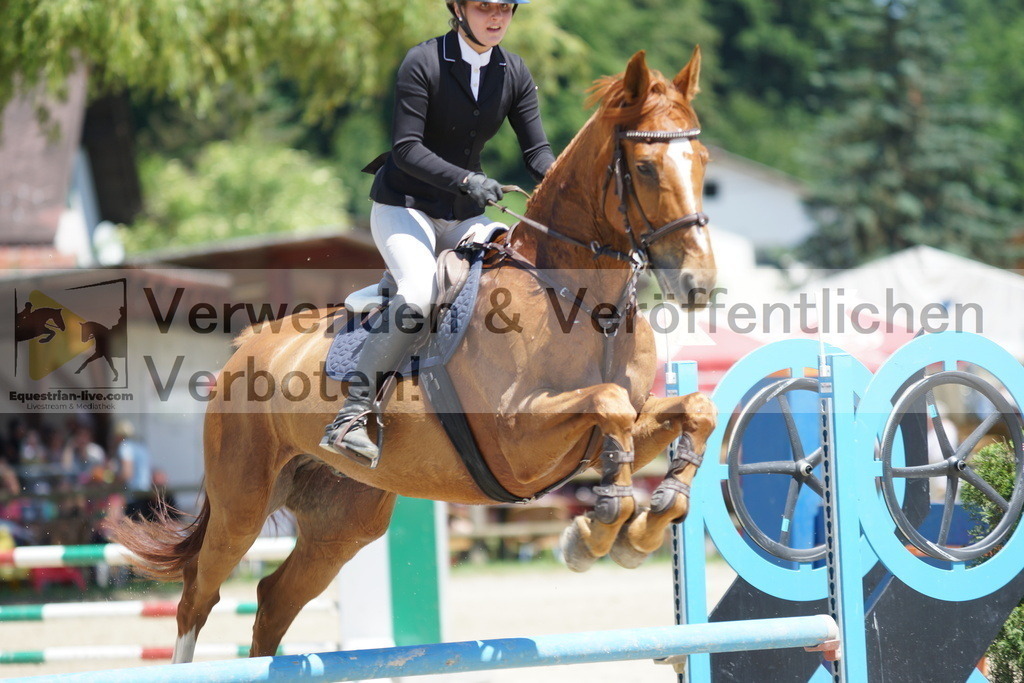 DSC09237 | equestrian-live-com