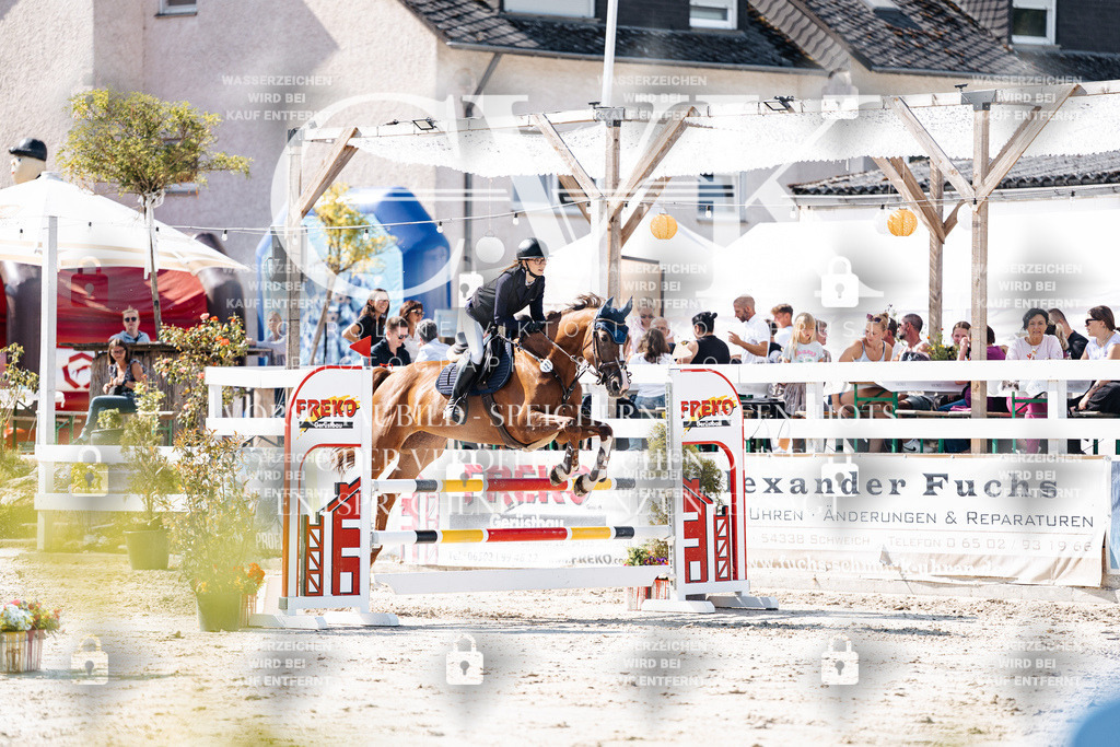 CK908059 | Turnierfotografie Pferdefotografie Trier Rheinland-Pfalz Pferdesport Reitsport Tierfotografie Sportfotografie Pferdevideo Pferdevideografie Equestrianvideography equestrianphotography  - Realisiert mit Pictrs.com