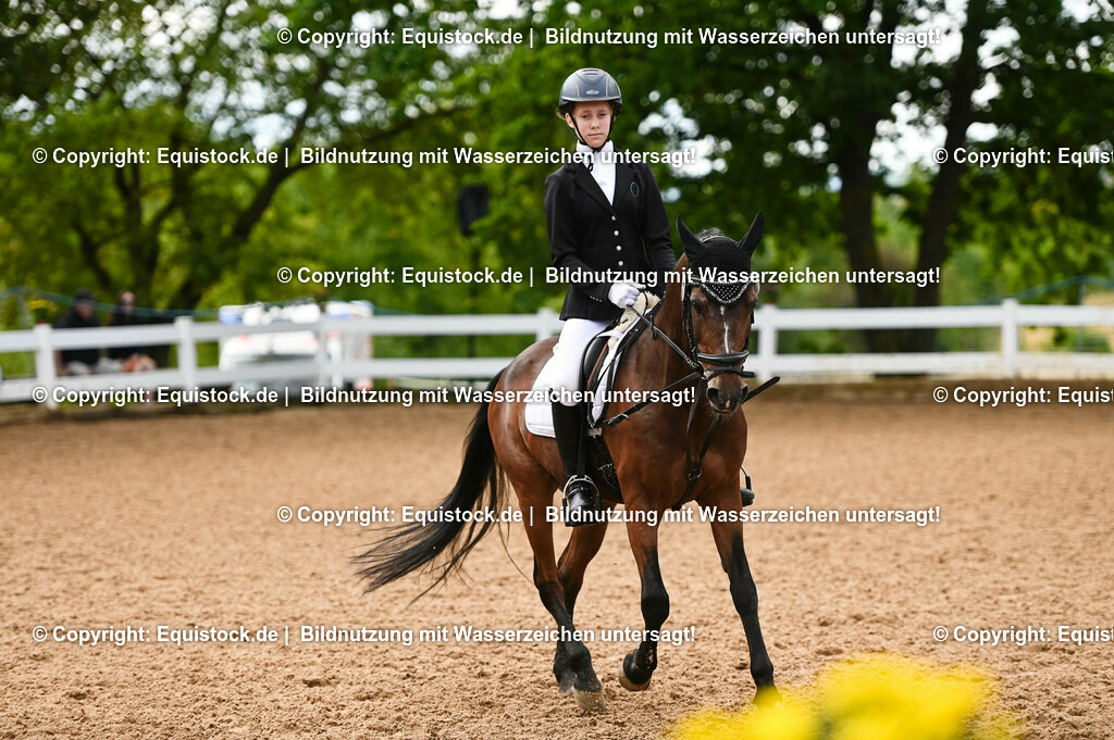 20230716_10-2_Reiter-WB Schritt - Trab - Galopp_0101 | equistock