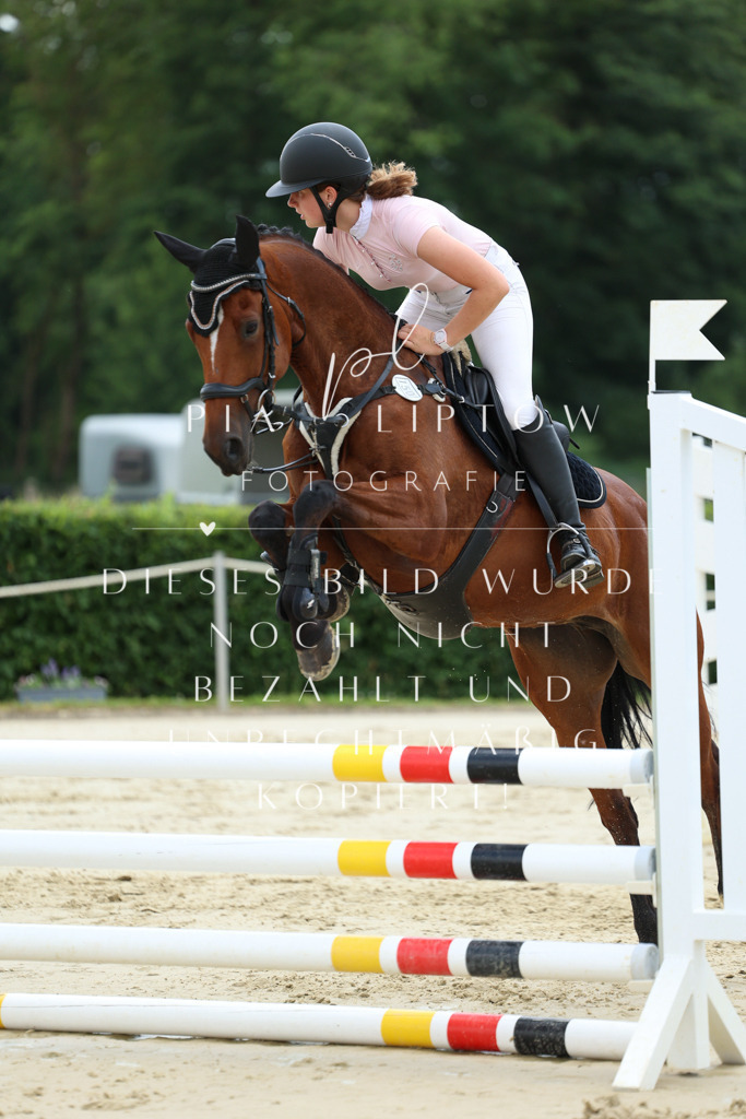 IMGM2051 | pl-fotografie