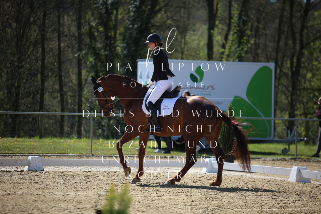 IMGT0742 | pl-fotografie