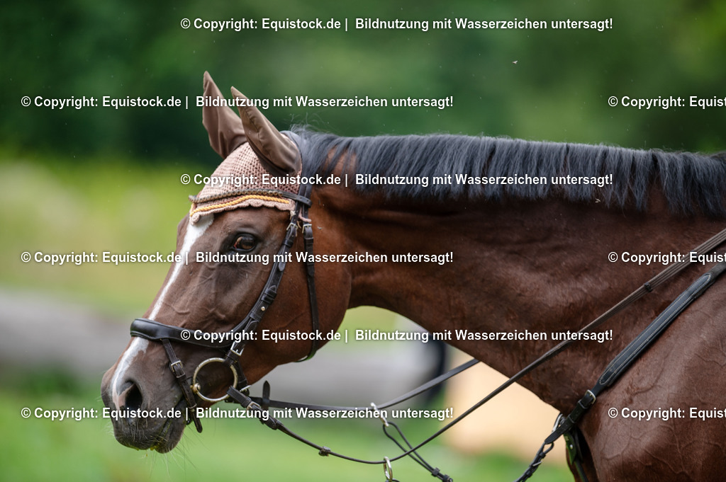 20250725_Vielseitigkeitslehrgang-Marbach_0415 | Foto: Thomas Hartig