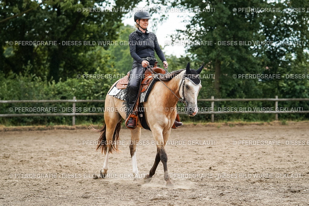 DSC03742 | Pferdegrafie