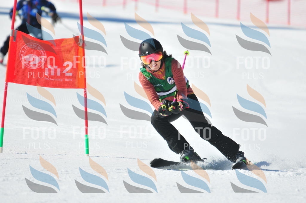 C3988 | holidayphoto