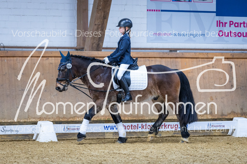 Sth-WBO25-RWBST-041 | MomenTaufnahmen Pferdesportfotos