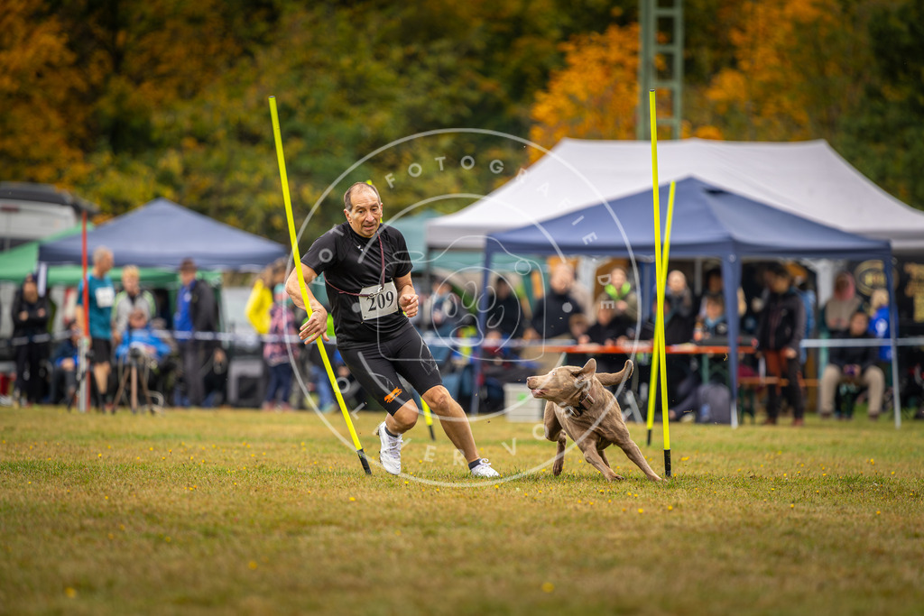 Pfotenfotografie_DV3A2291 | Hundefotografie, Tierfotograf, Pfotenfotografie, Fotoshooting Hund, Hunde Portrait, Hundesport, Hundeportraits, Heideshooting, Hunde, Sportfotograf, Hundefotograf, Turnierhundsport, THS,  - Realisiert mit Pictrs.com