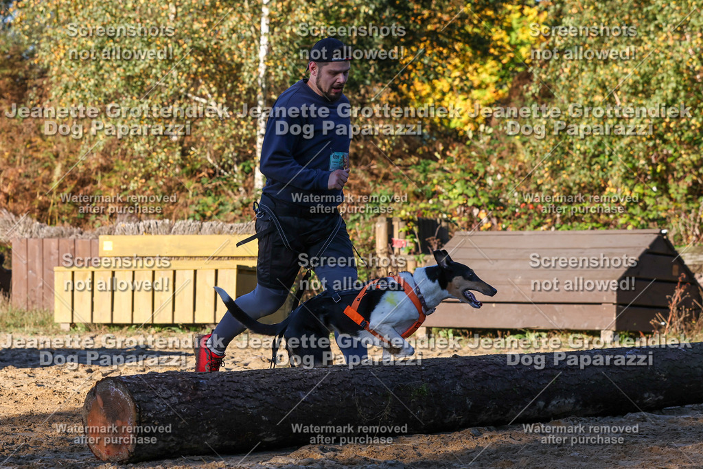 Dog Paparazzi - Strongdog 10-25-1099 | Dog Paparazzi Jeanette Grottendiek Fotografie & Videografie - Realisiert mit Pictrs.com