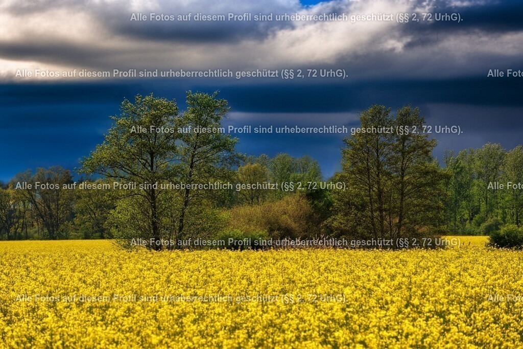 20240416153726_0C4A6773-01_2 | krollfotografie - Realisiert mit Pictrs.com