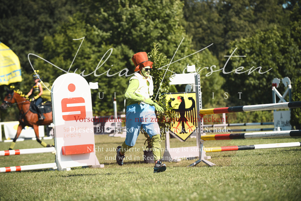 DSC_7497 | Pferde- und Turnierfotografie in Westsachsen. Pferdeportraits, Auftragszeichnungen und intuitive Kunst.