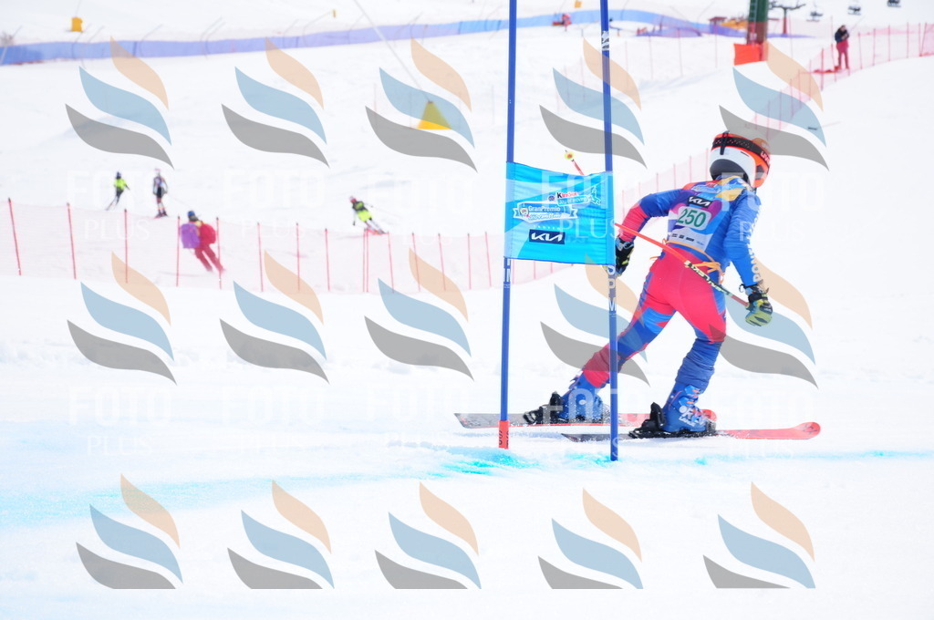 DSC_2363 | holidayphoto