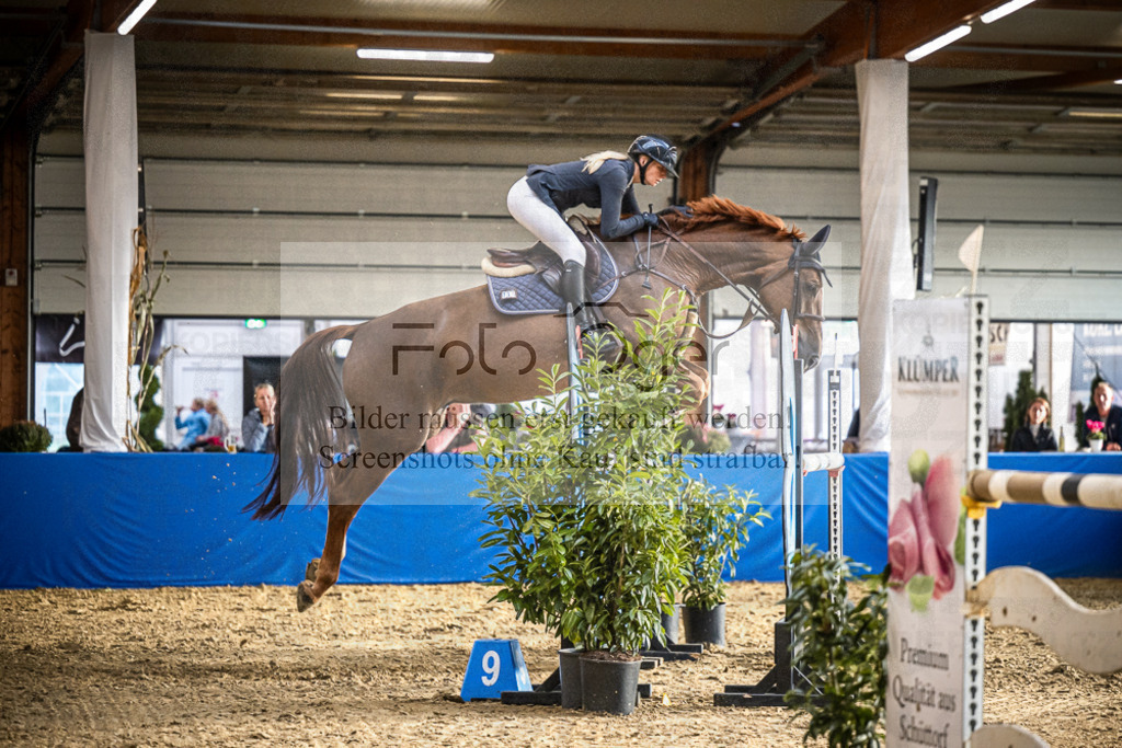 DOS_2702 | Entdecke hochwertige Reitturnierfotos von Foto Oger. Professionell, emotional und authentisch – jetzt Lieblingsmomente im Shop bestellen.Deutschlandweite Turnierfotografie. - Realisiert mit Pictrs.com