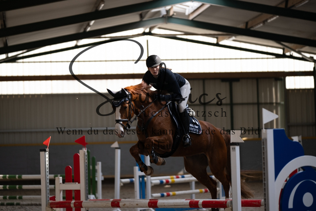 A7V08186 | Pferdefotograf