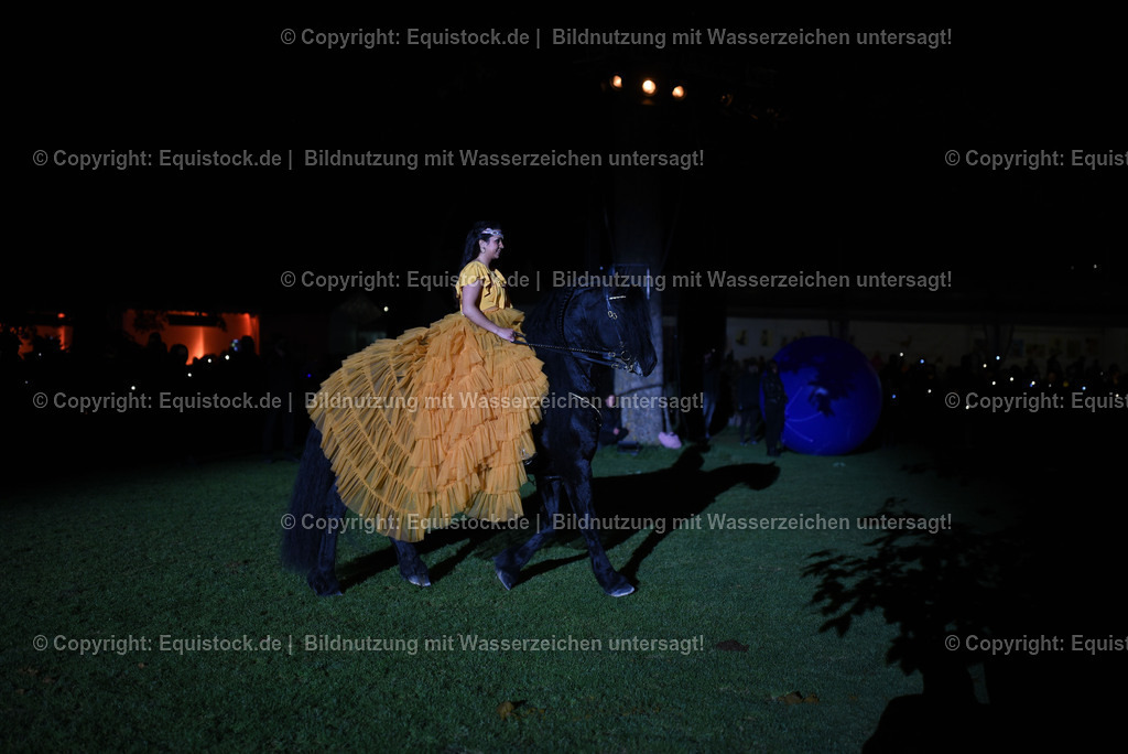 20230526_Pferdenacht_1558 | equistock