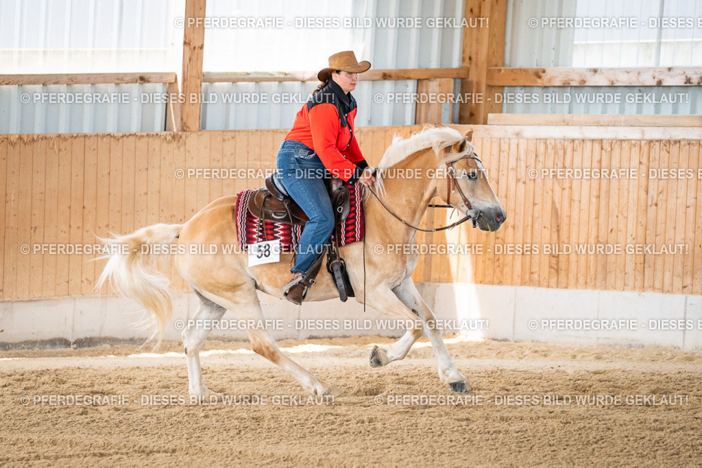 DSC02806 | Pferdegrafie