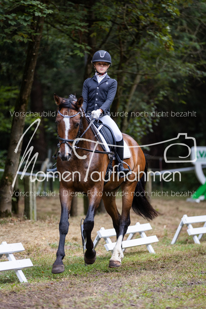 HB-Reiter-WB-006 | MomenTaufnahmen Pferdesportfotos