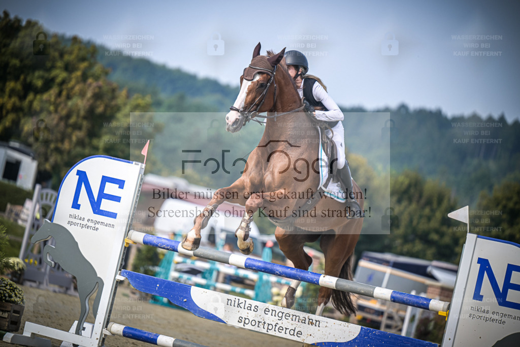 DOS_2950 | Entdecke hochwertige Reitturnierfotos von Foto Oger. Professionell, emotional und authentisch – jetzt Lieblingsmomente im Shop bestellen. - Realisiert mit Pictrs.com