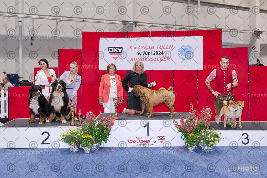 202406_ÖKV-IHA-Tulln24_NZ9_9476 | proPHOTO - Realisiert mit Pictrs.com